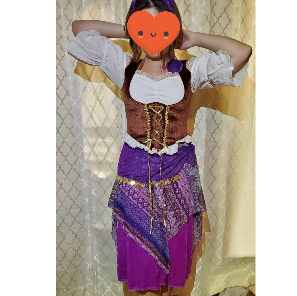 Party City Gypsy Costume (Adult)